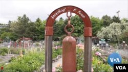 Kebun komunitas Interbay P-Patch di Seattle. (VOA/videograb)