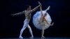 FILE - Mantan anggota Balet Bolshoi Moskow, penari Brazil David Motta (kiri), meninggalkan Rusia karena perang di Ukraina, saat latihan 'Swan Lake' di Teater Kota Rio de Janeiro di Rio de Janeiro, Brazil, 12 Mei 2022. (Mauro PIMENTEL / AFP)
