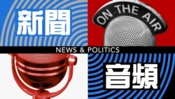 反種族隔離運動領袖曼德拉