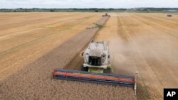 Міністр сільського господарства Польщі Роберт Телюс після віртуальної зустрічі з українським колегою Миколою Сольським: «Ми всі хочемо шукати довгострокові рішення». AP Photo/Efrem Lukatsky