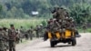 Depuis fin 2021, le M23, s'est emparé de vastes pans de territoire du Nord-Kivu.