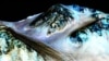 16x9 Image