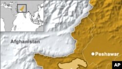 چاؤدنه کې دوژل شوؤ ټولو کسانو تعلق دطالبانو دمخالفې قبيلې مشتي سره دى