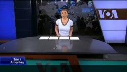 Ditari