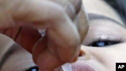 دستمبر په دريمه او څلورمه نيټه دخيبرايجنسۍ لرې پرتې سيمې تيراه کې 32,646ؤ ماشومانو ته څاڅکي ورکړل شوي دي