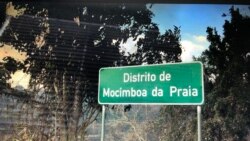 Cabo Delgado: Réus absolvidos devem ter reinserção económica para não serem recrutados por terroristas, analista