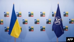 Прапори України й НАТО під час саміту у Вільнюсі, 12 липня 2023. Odd ANDERSEN/AFP