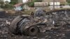 A woman walks at the site of a crashed Malaysia Airlines passenger plane near the village of Rozsypne, eastern Ukraine on Friday, July 18, 2014. 