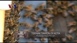 Warung VOA: Merayakan Hari Bumi (2)